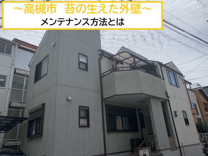 高槻市｜住宅の外壁に苔が発生！サイディングボードのメンテナンス事例を解説
