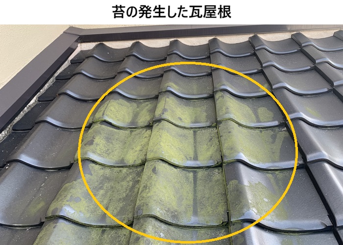 箕面市　瓦屋根劣化診断｜補修のご提案