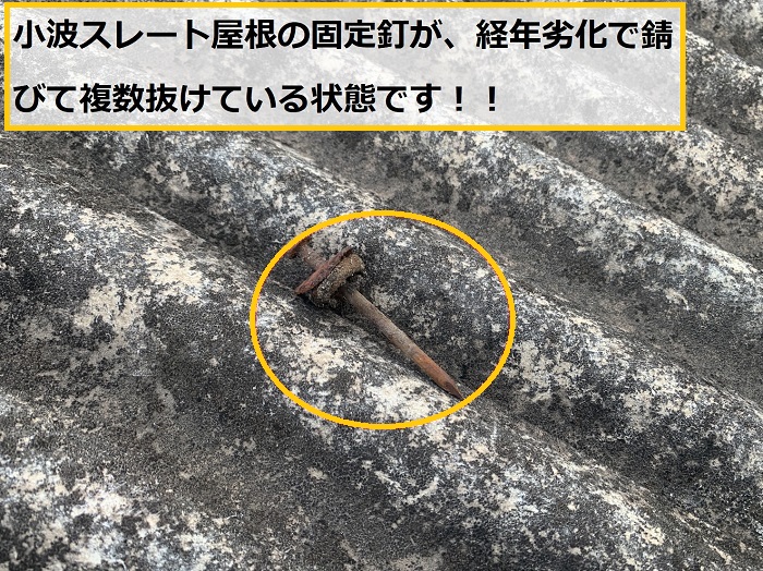 池田市｜雨漏り発生！？平屋倉庫の小波スレート屋根を無料点検！原因を徹底調査