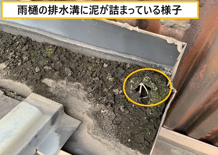 池田市｜隣家境界の取り合い部で発生した雨漏り調査