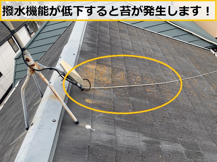 高槻市｜スレート屋根の寿命は？築20年以上のメンテナンス方法を徹底解説