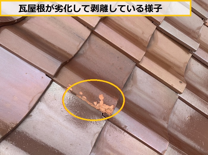 池田市｜瓦屋根の劣化を徹底チェック！平屋の最適な補修とは