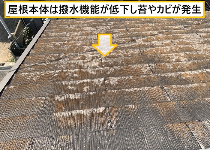 大阪市｜築20年超のカラーベスト屋根を徹底点検！最適なメンテナンス方法とは？