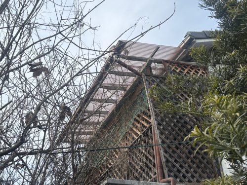 波板貼り替え後の写真