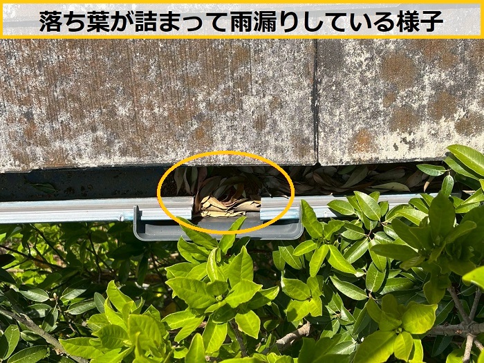 池田市｜築25年のお住まいで雨樋の無料調査！軒樋・縦樋の劣化状況をチェック