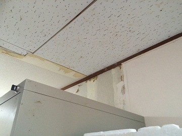 雨漏り調査　壁雨染み調査