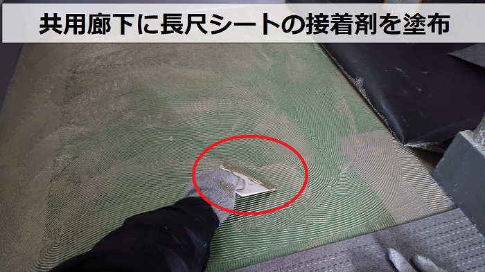 豊中市ハイツの共用廊下に長尺シートの接着剤を塗布