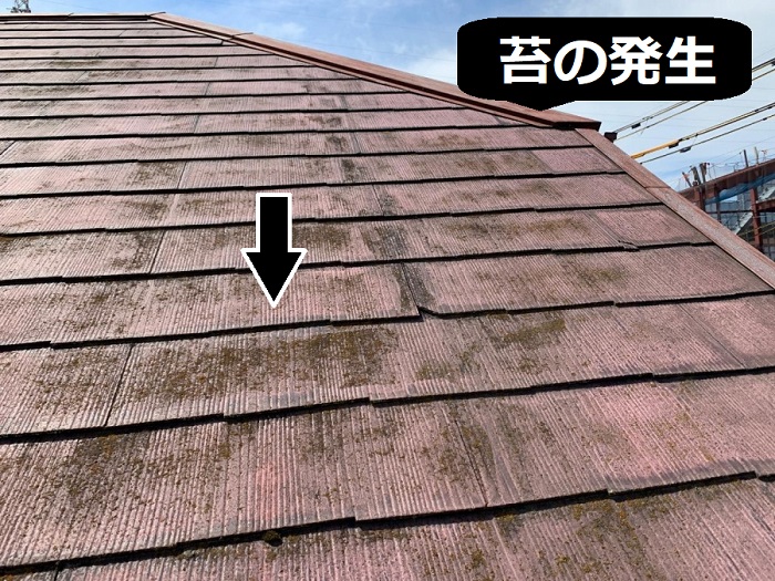 スレート屋根の苔の発生