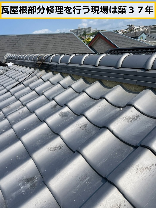 茨木市｜屋根板金補修とポリカ波板張替え工事