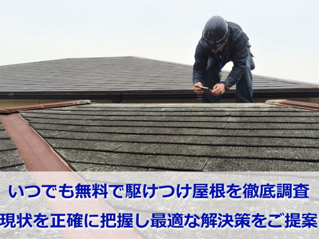 屋根点検