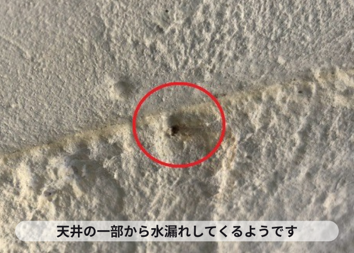 水漏れしている天井