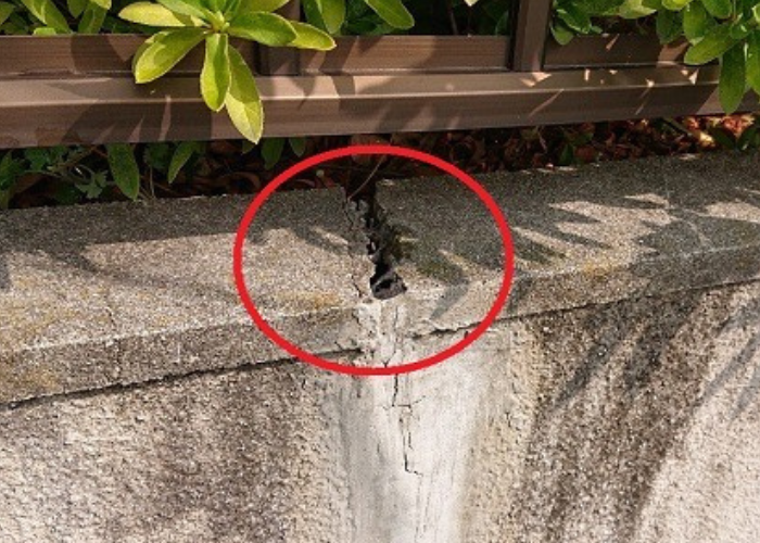 コンクリート笠木が大きくひび割れている様子