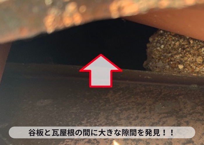 谷板と瓦屋根の間にコウモリが侵入しそうな隙間を発見