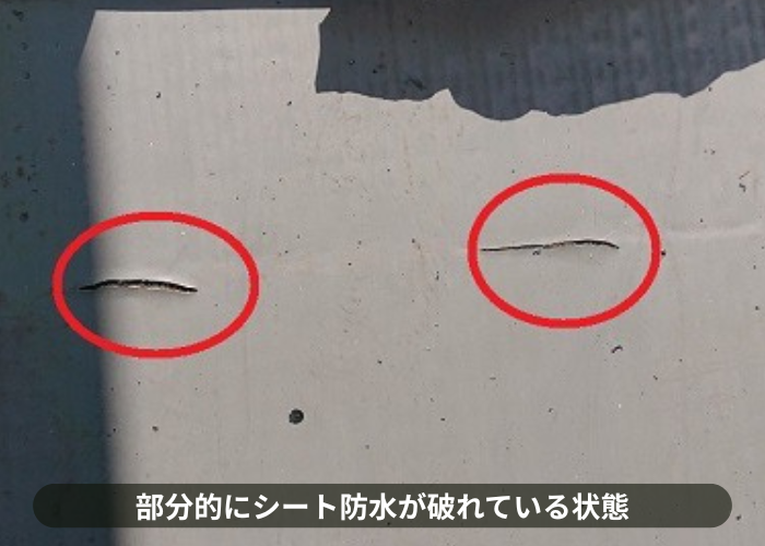 枚方市部分的にシート防水が破れている状態