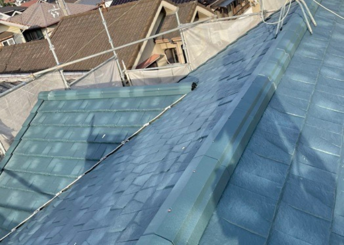 枚方市でコウモリ対策を行った後のルーガ