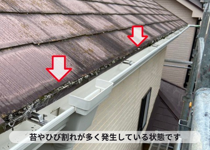 高槻市苔やひび割れが多く発生している様子