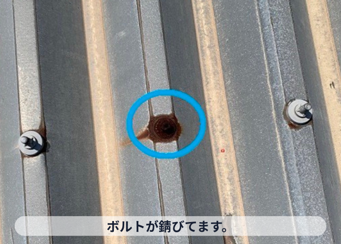 池田市　折板屋根のボルトが錆びている様子