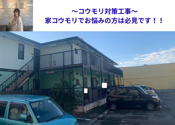 池田市で家コウモリ対策工事を行う現場の様子