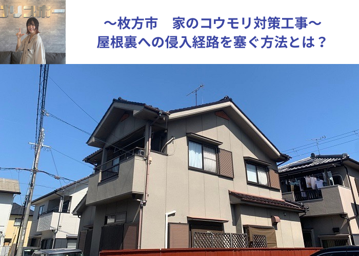 枚方市で家のコウモリ対策工事を行う現場の様子