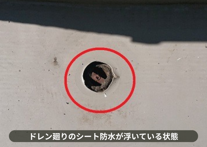 枚方市バルコニーのドレン廻りシート防水が浮いている様子