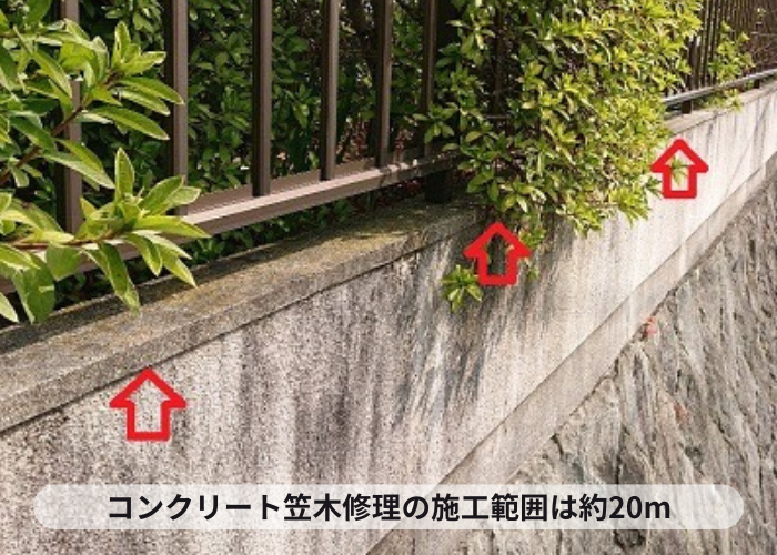 コンクリート笠木の施工範囲を紹介している様子