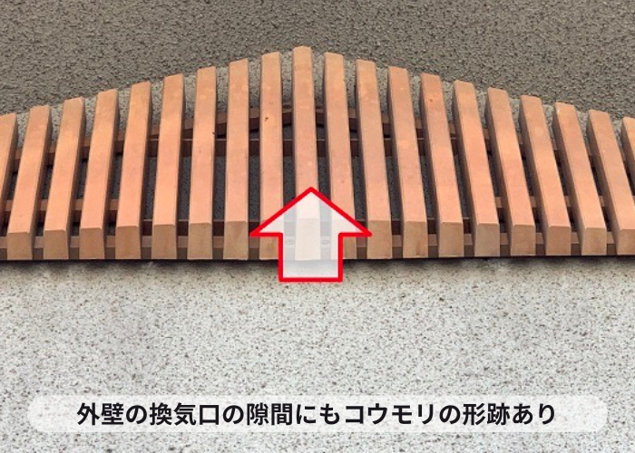 外壁の換気口にもコウモリの形跡あり