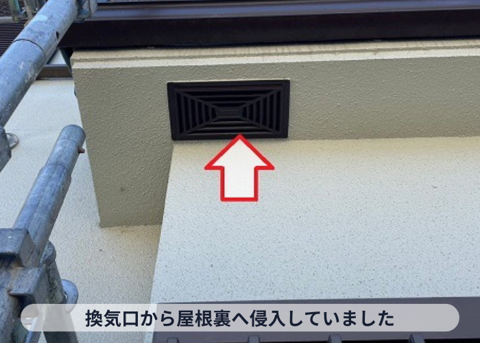 枚方市家コウモリが換気口から屋根裏へ侵入していた様子