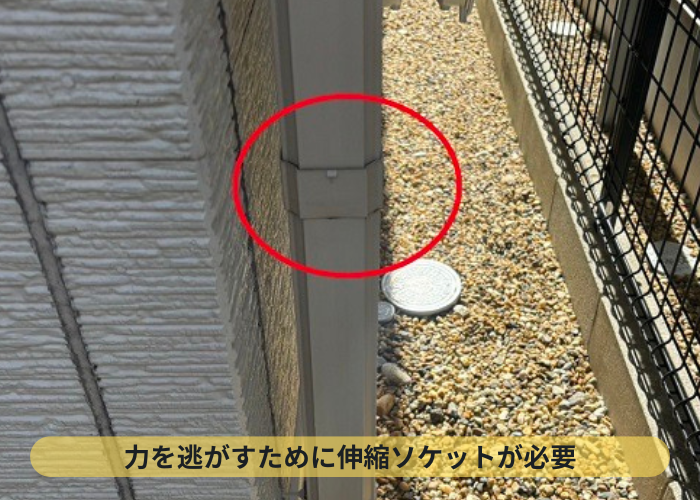 竪樋