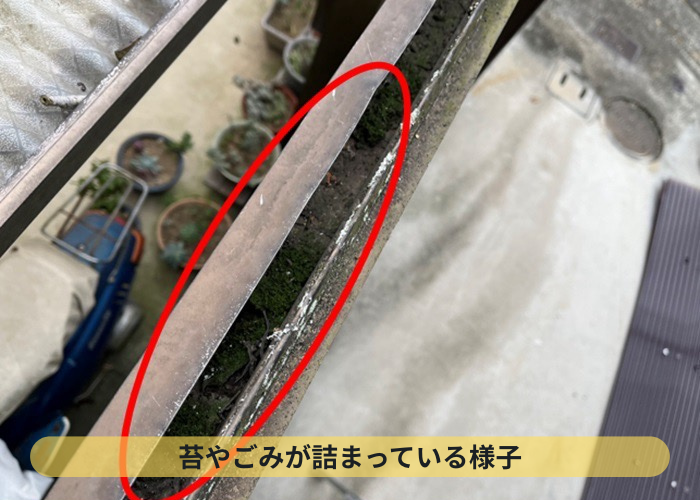 波板の下地の雨樋に苔が詰まった様子