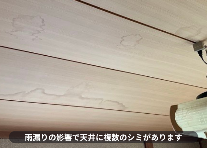 吹田市雨漏りの影響で天井に複数のシミが発生している様子