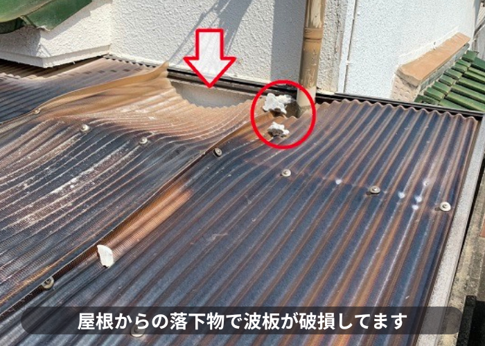 屋根からの落下物でポリカ波板が破損している様子