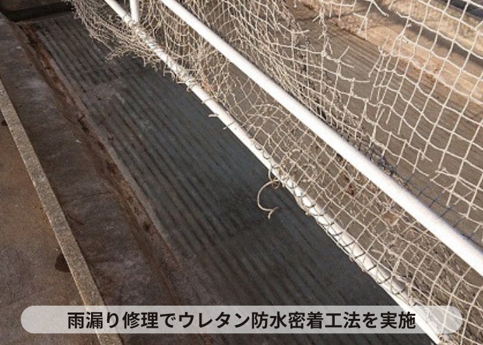 大阪府吹田市　陸屋根の雨漏り修理でウレタン防水密着工法を実施