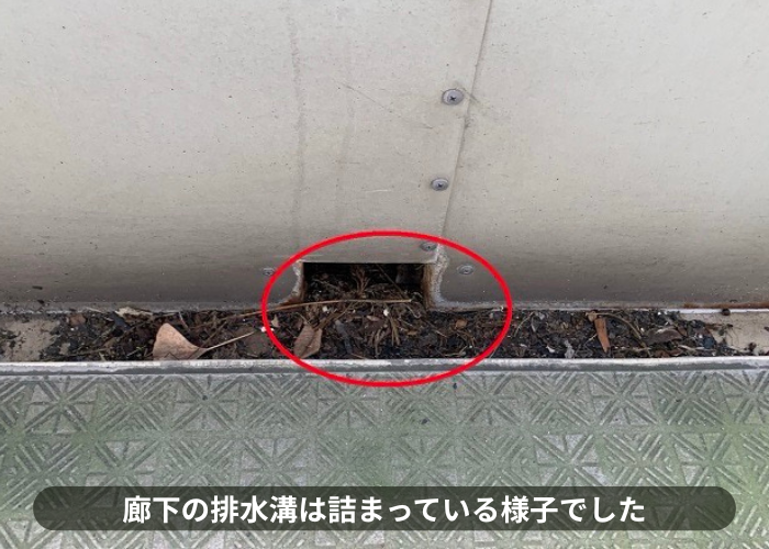 吹田市　アパートの廊下の排水溝が詰まっている様子